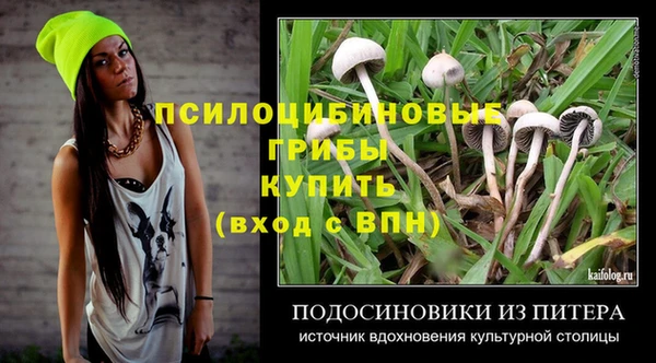 spice Абинск