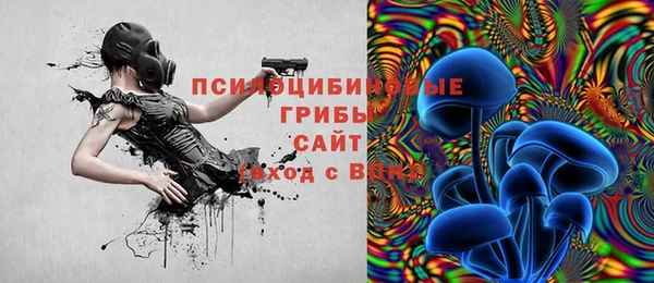 spice Абинск