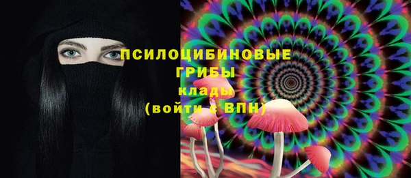 крисы Абдулино