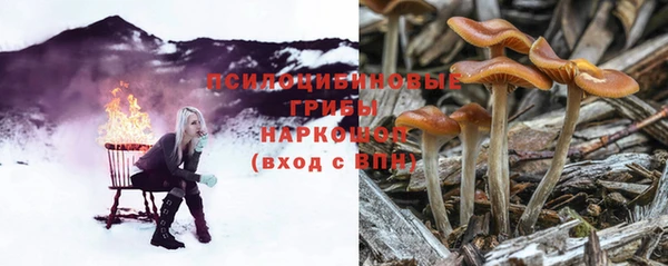 крисы Абдулино
